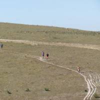 img_0349 copy